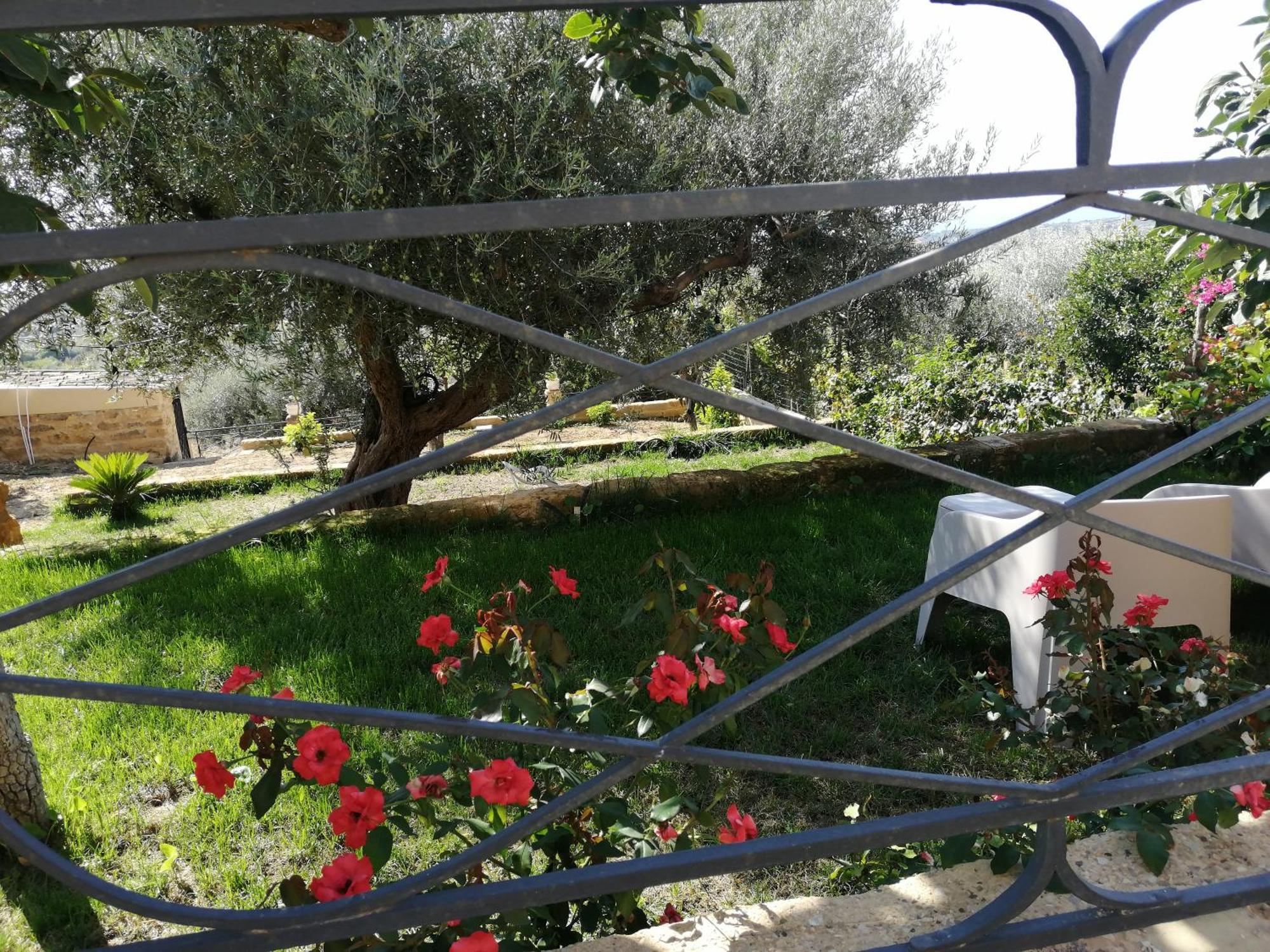 A Casa Di Mammi Nella Valle Dei Templi Agrigento Room photo